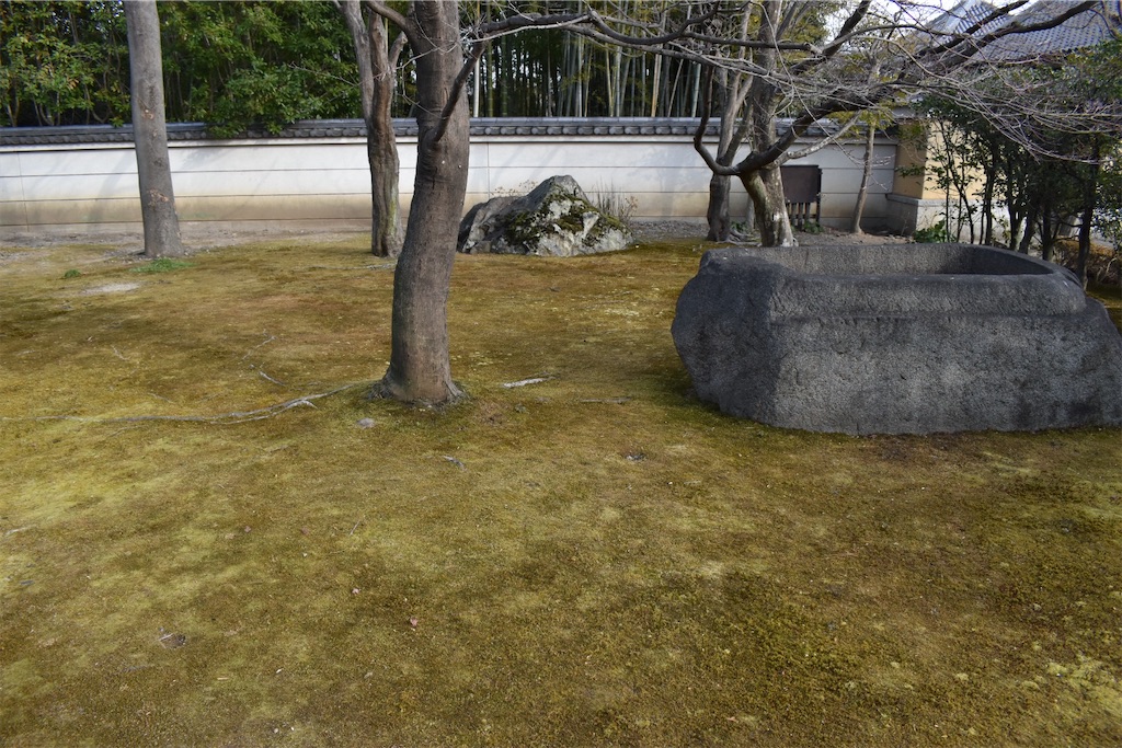 f:id:matsumotoyusuke:20230416175519j:image