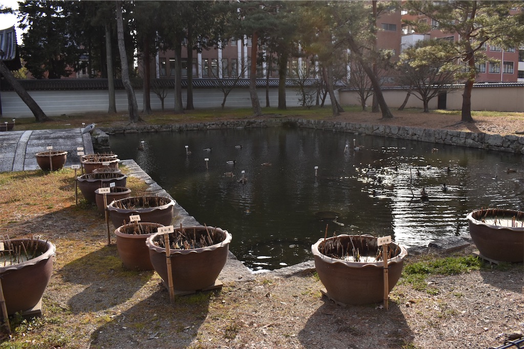 f:id:matsumotoyusuke:20230416175528j:image