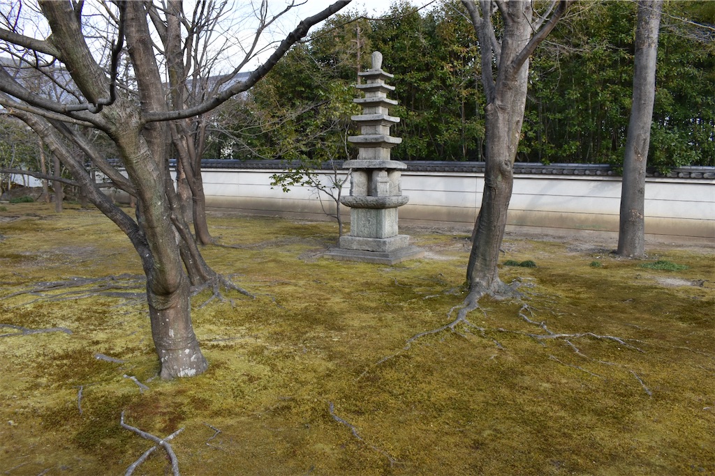 f:id:matsumotoyusuke:20230416175537j:image