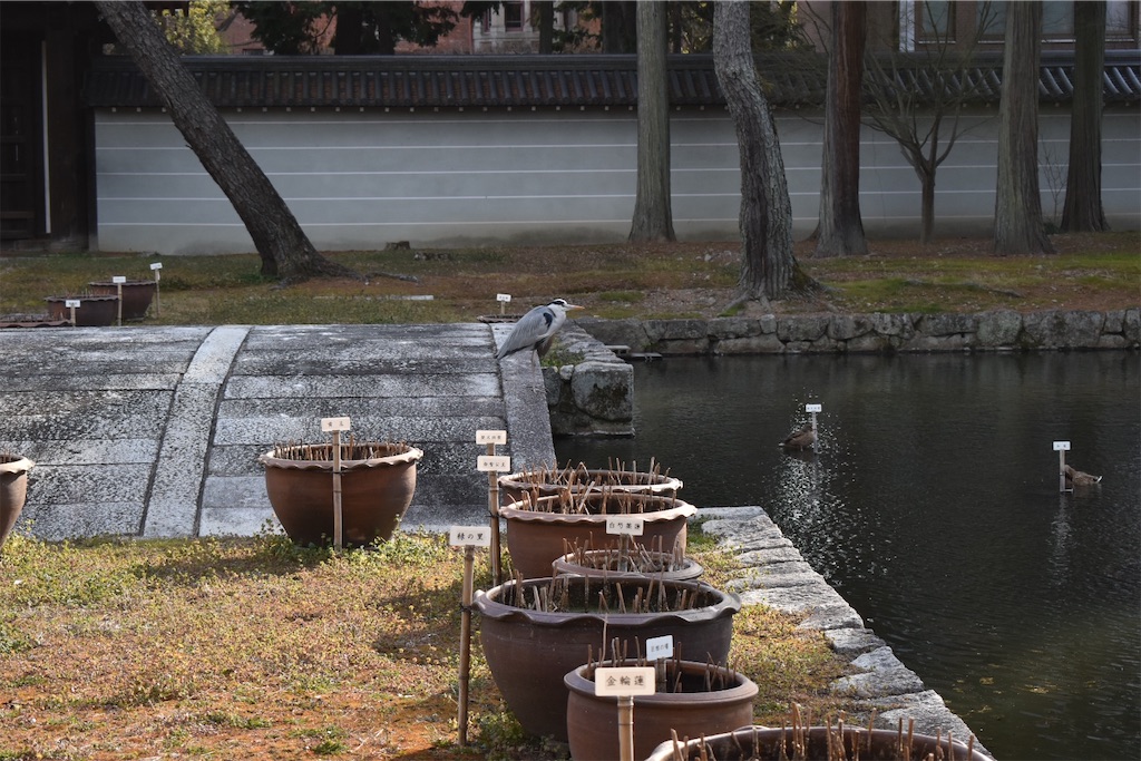 f:id:matsumotoyusuke:20230416175625j:image