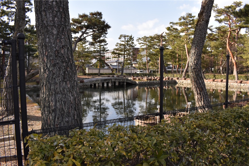 f:id:matsumotoyusuke:20230416175643j:image
