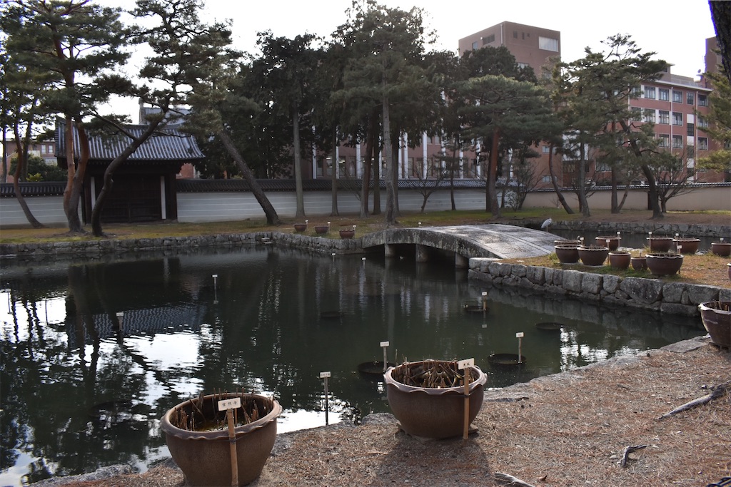 f:id:matsumotoyusuke:20230416175701j:image