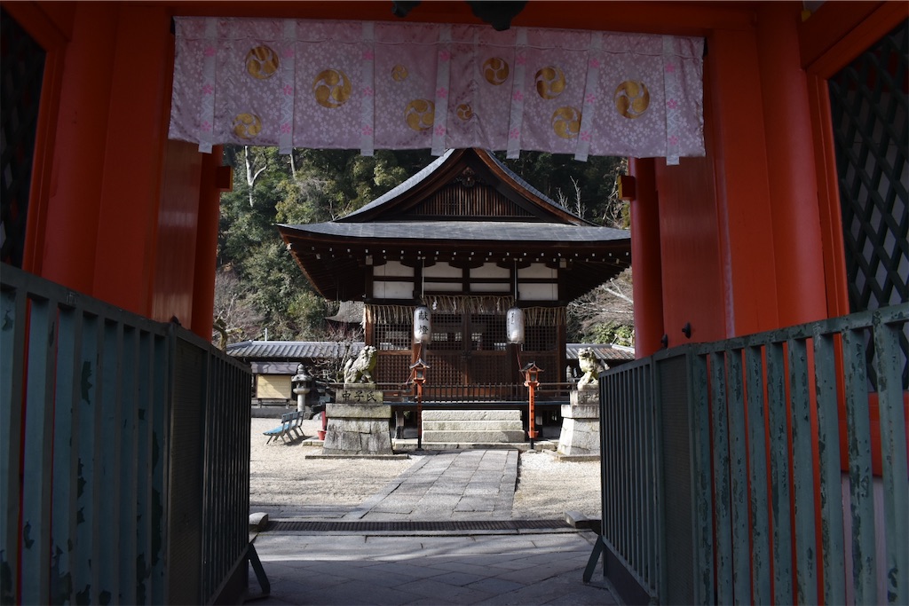 f:id:matsumotoyusuke:20230416183158j:image