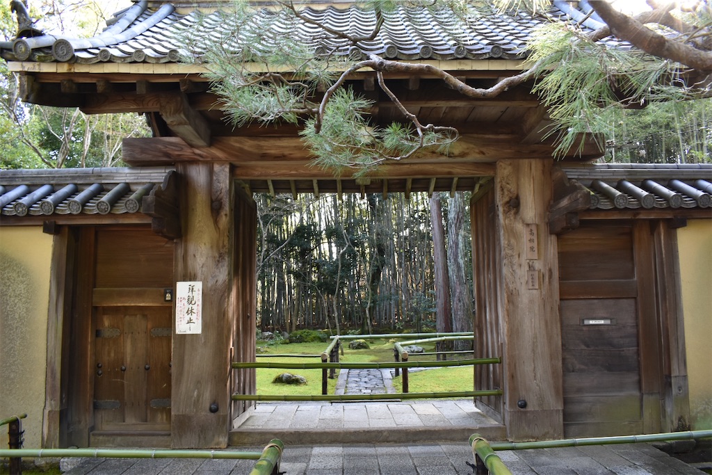 f:id:matsumotoyusuke:20230416221139j:image