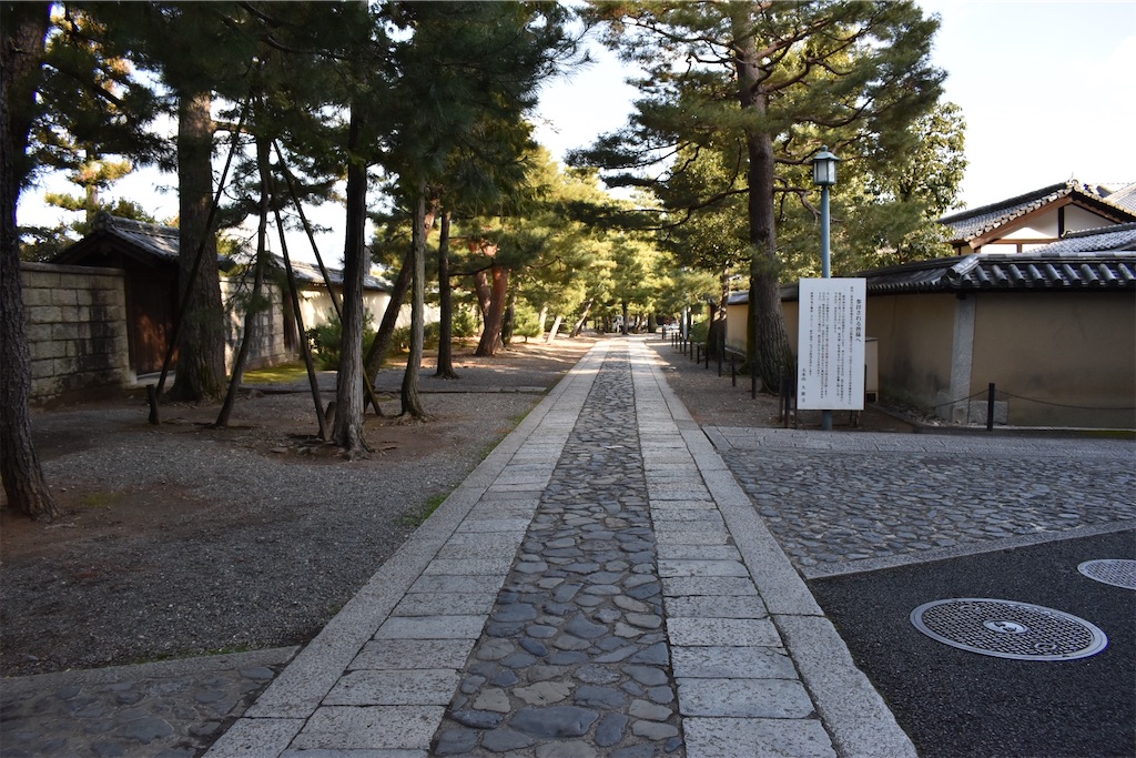 f:id:matsumotoyusuke:20230416221145j:image