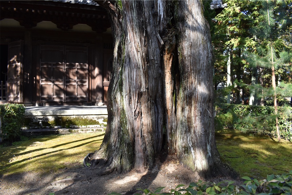 f:id:matsumotoyusuke:20230416221200j:image