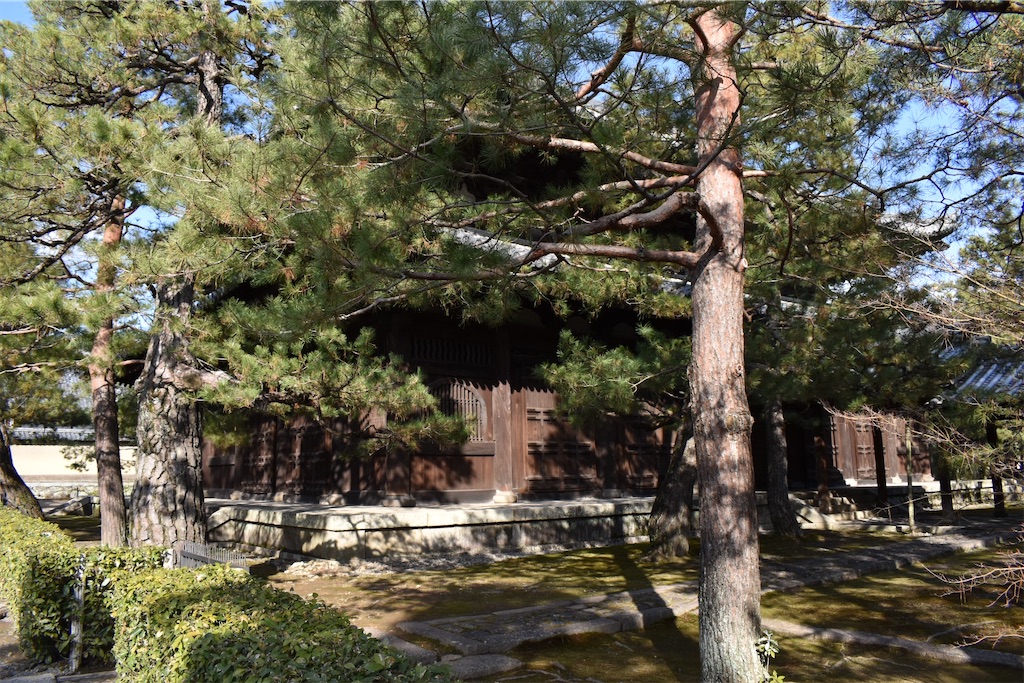 f:id:matsumotoyusuke:20230416221206j:image
