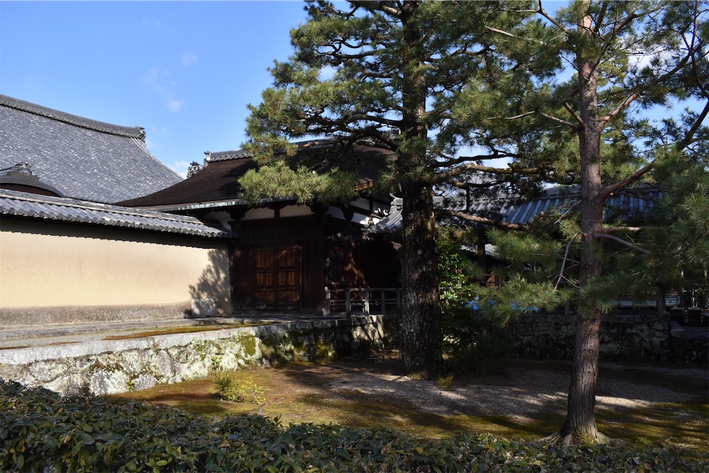 f:id:matsumotoyusuke:20230416221215j:image