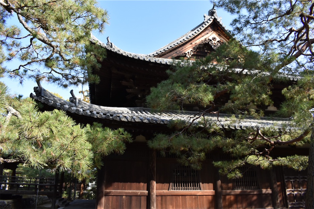 f:id:matsumotoyusuke:20230416221246j:image