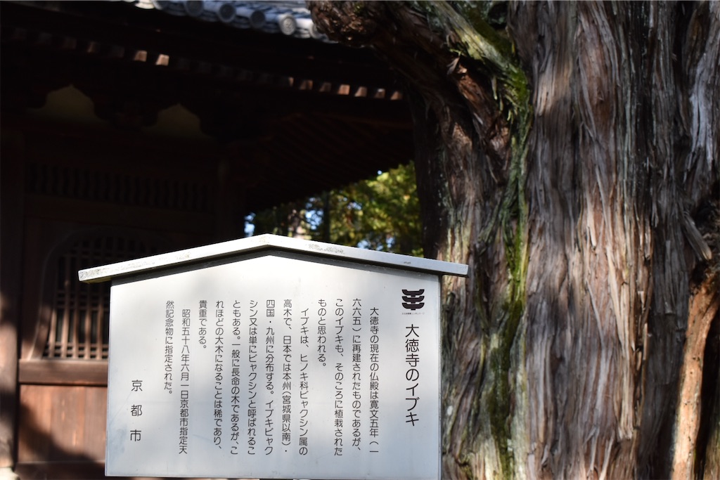 f:id:matsumotoyusuke:20230416221304j:image
