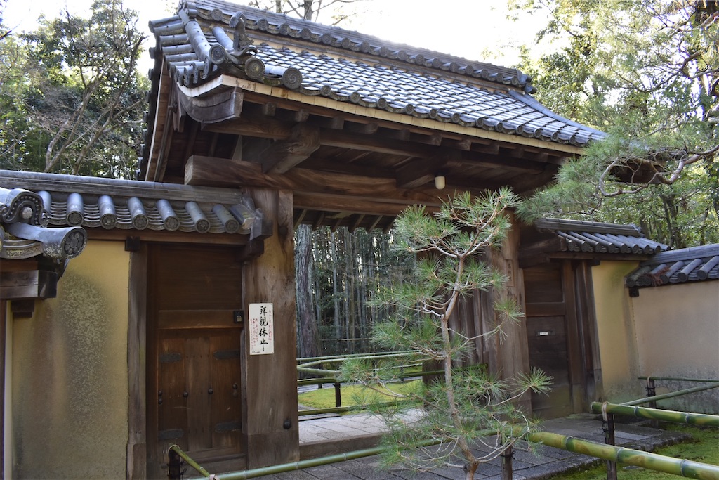 f:id:matsumotoyusuke:20230416221329j:image