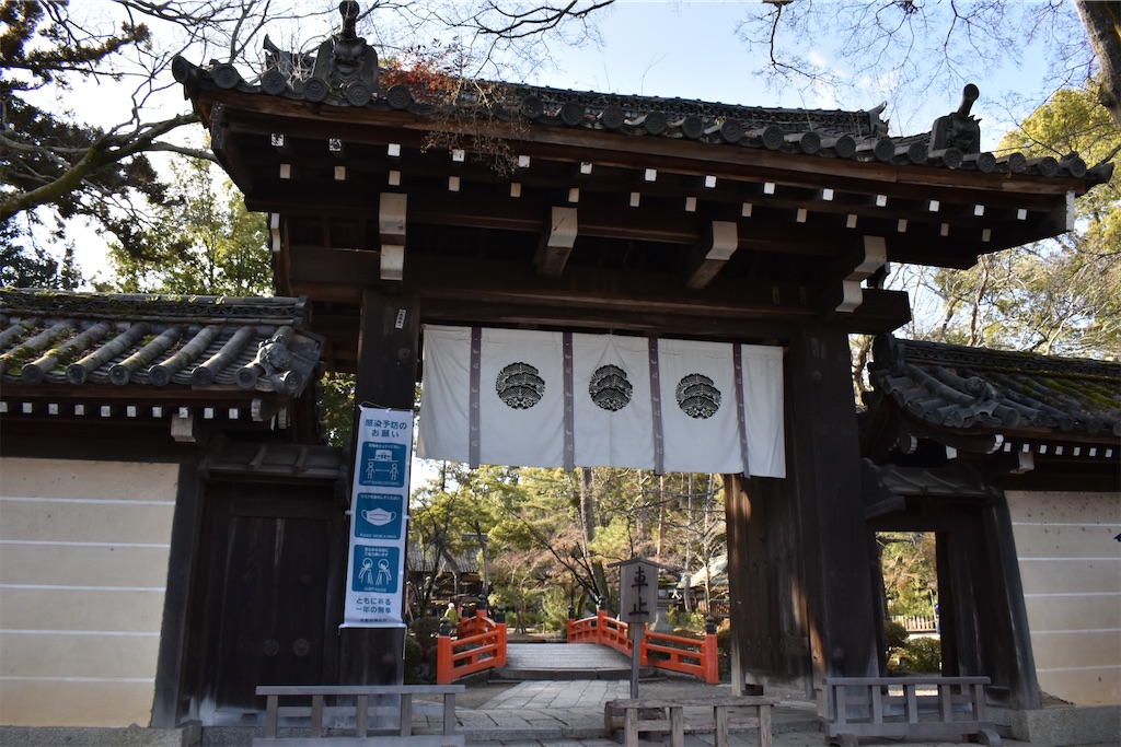 f:id:matsumotoyusuke:20230425110153j:image f:id:matsumotoyusuke:20230425110153j:image