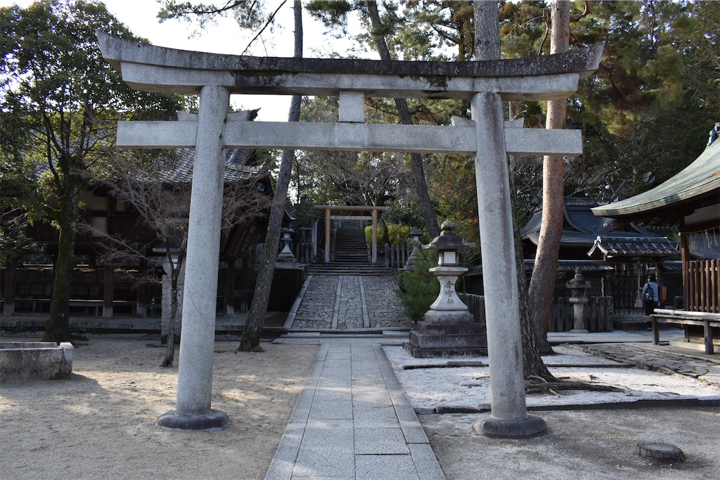 f:id:matsumotoyusuke:20230425110214j:image f:id:matsumotoyusuke:20230425110214j:image