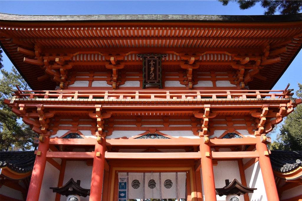 f:id:matsumotoyusuke:20230425110223j:image f:id:matsumotoyusuke:20230425110223j:image