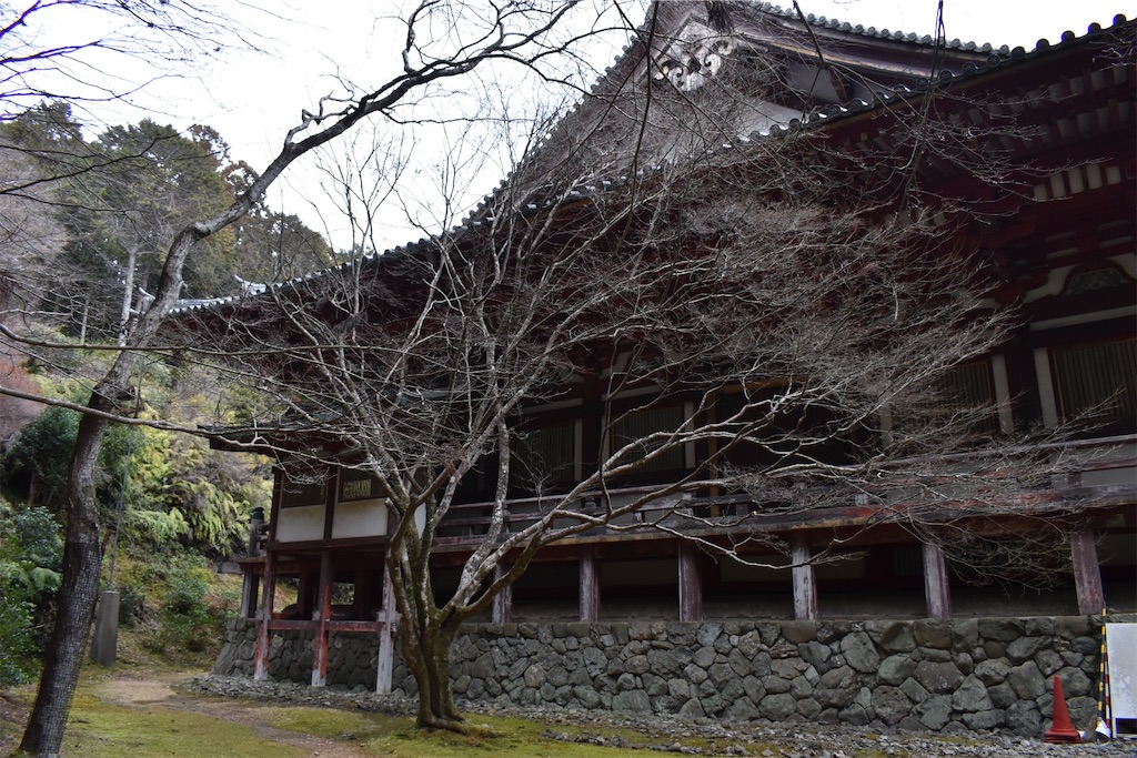 f:id:matsumotoyusuke:20230502215503j:image