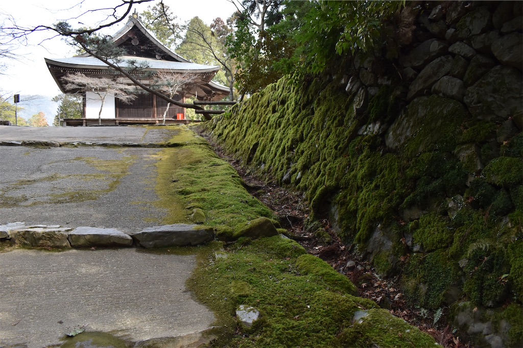 f:id:matsumotoyusuke:20230502215526j:image