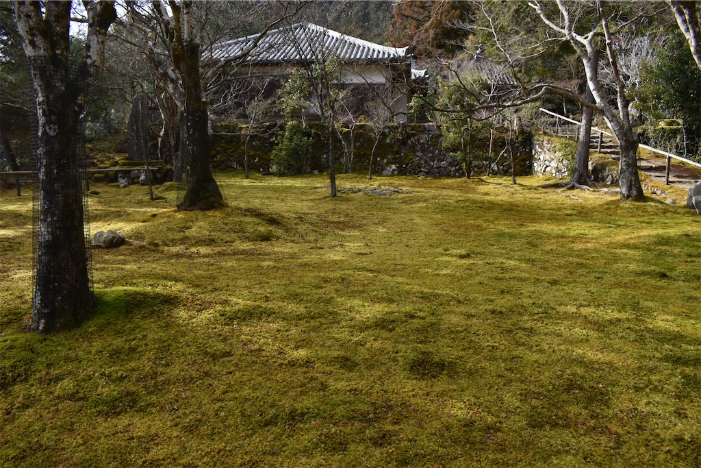 f:id:matsumotoyusuke:20230502215549j:image