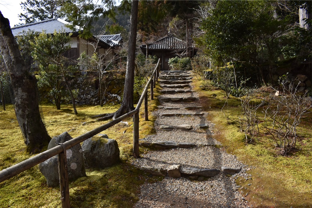 f:id:matsumotoyusuke:20230502215555j:image
