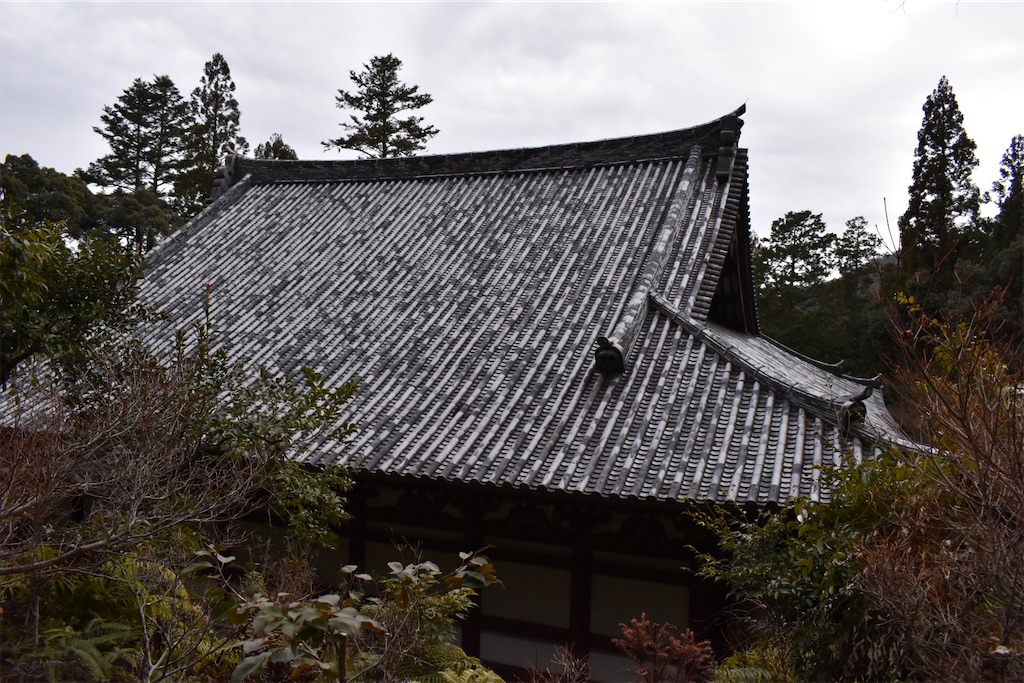 f:id:matsumotoyusuke:20230502215557j:image