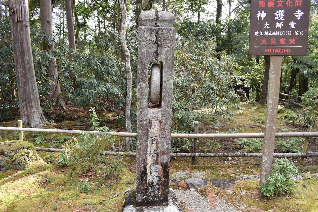 f:id:matsumotoyusuke:20230502215600j:image