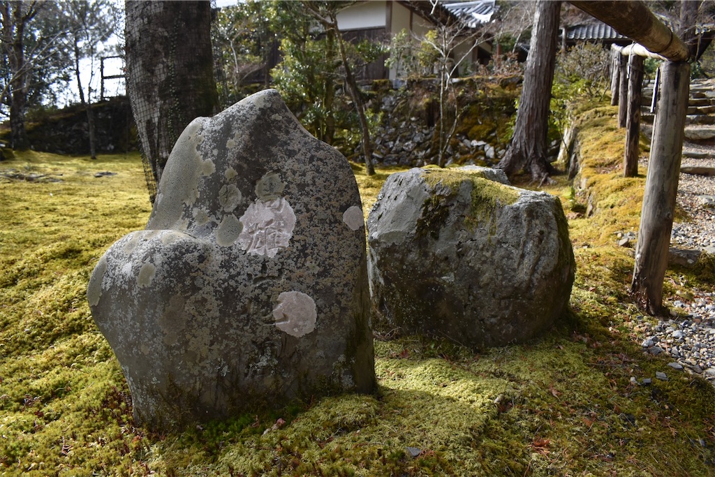 f:id:matsumotoyusuke:20230502215617j:image