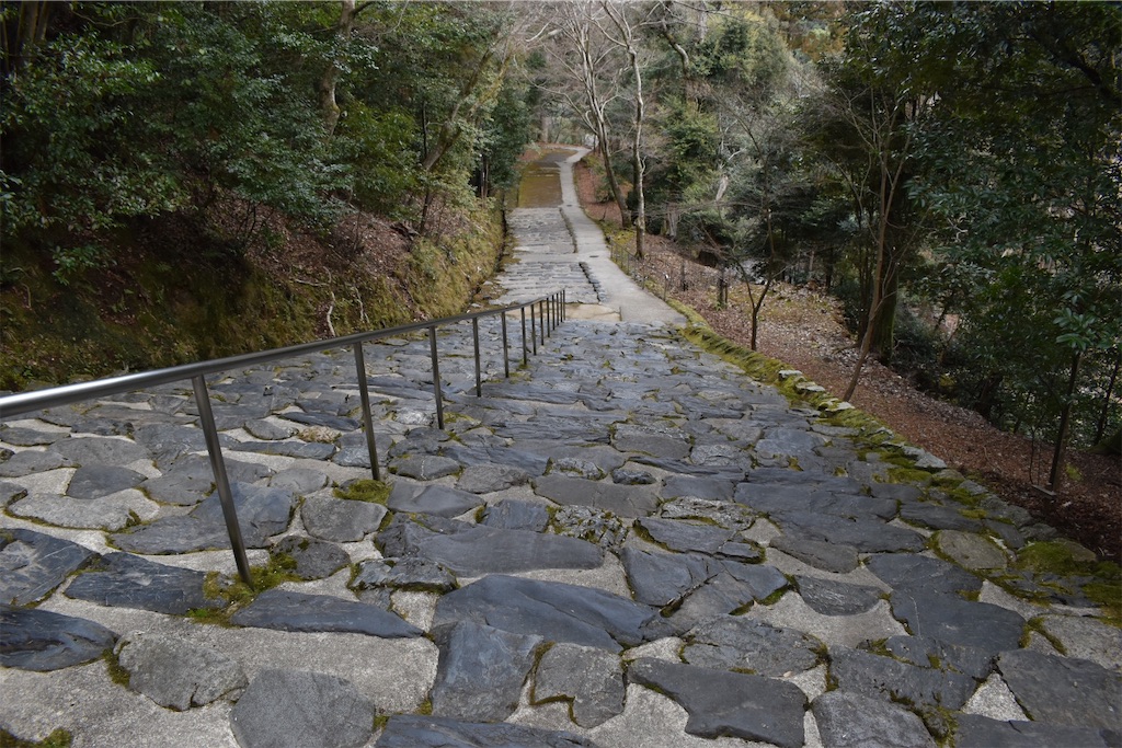 f:id:matsumotoyusuke:20230502215715j:image