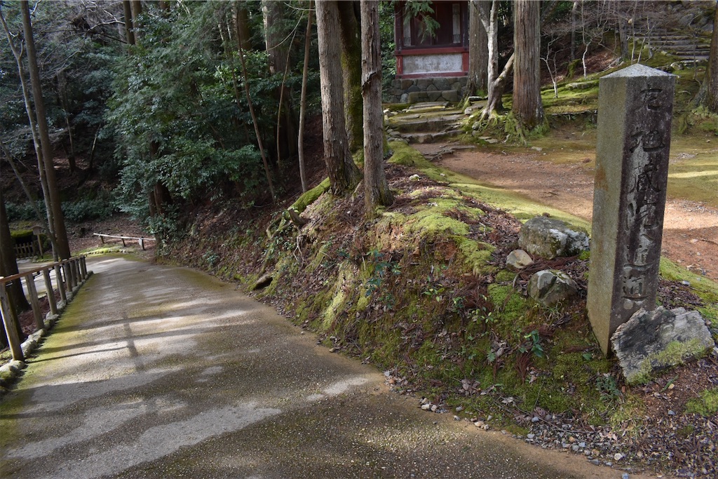 f:id:matsumotoyusuke:20230502215718j:image