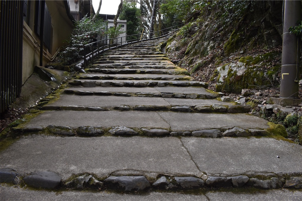 f:id:matsumotoyusuke:20230502215751j:image