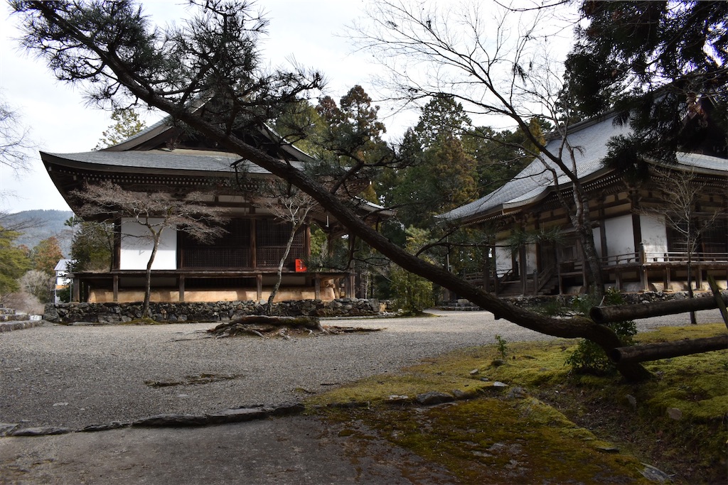 f:id:matsumotoyusuke:20230502215800j:image