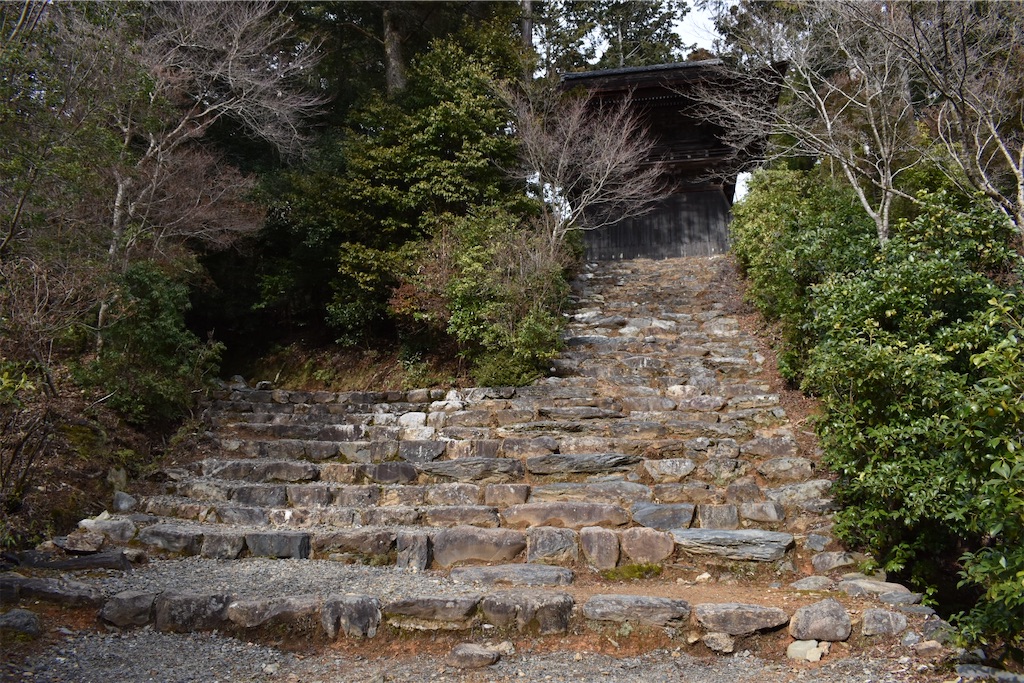 f:id:matsumotoyusuke:20230502215820j:image