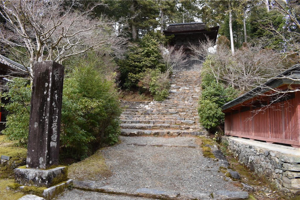 f:id:matsumotoyusuke:20230502215823j:image