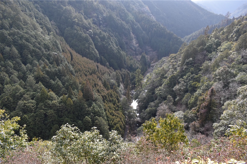 f:id:matsumotoyusuke:20230502215832j:image
