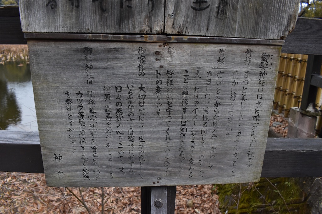 f:id:matsumotoyusuke:20230502223216j:image