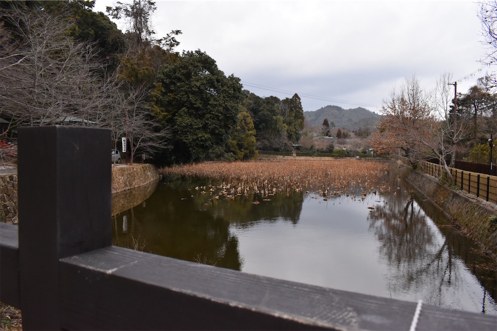 f:id:matsumotoyusuke:20230502223219j:image