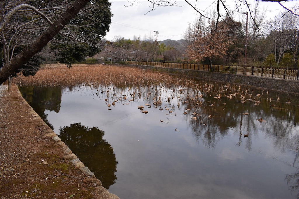 f:id:matsumotoyusuke:20230502223237j:image