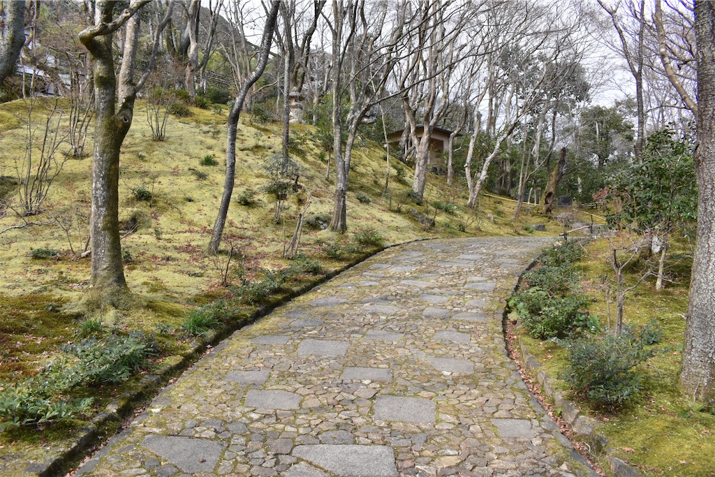 f:id:matsumotoyusuke:20230502223639j:image