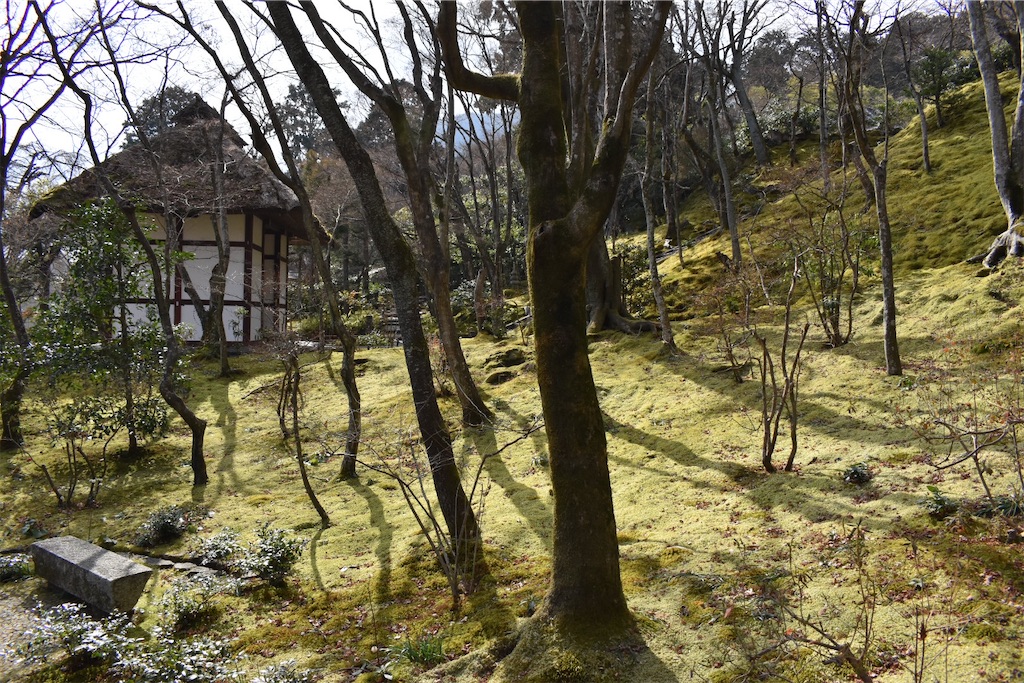 f:id:matsumotoyusuke:20230502223651j:image