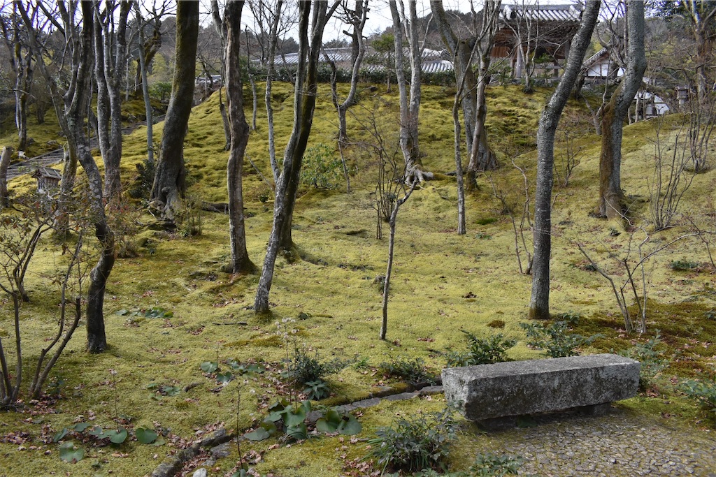 f:id:matsumotoyusuke:20230502223654j:image