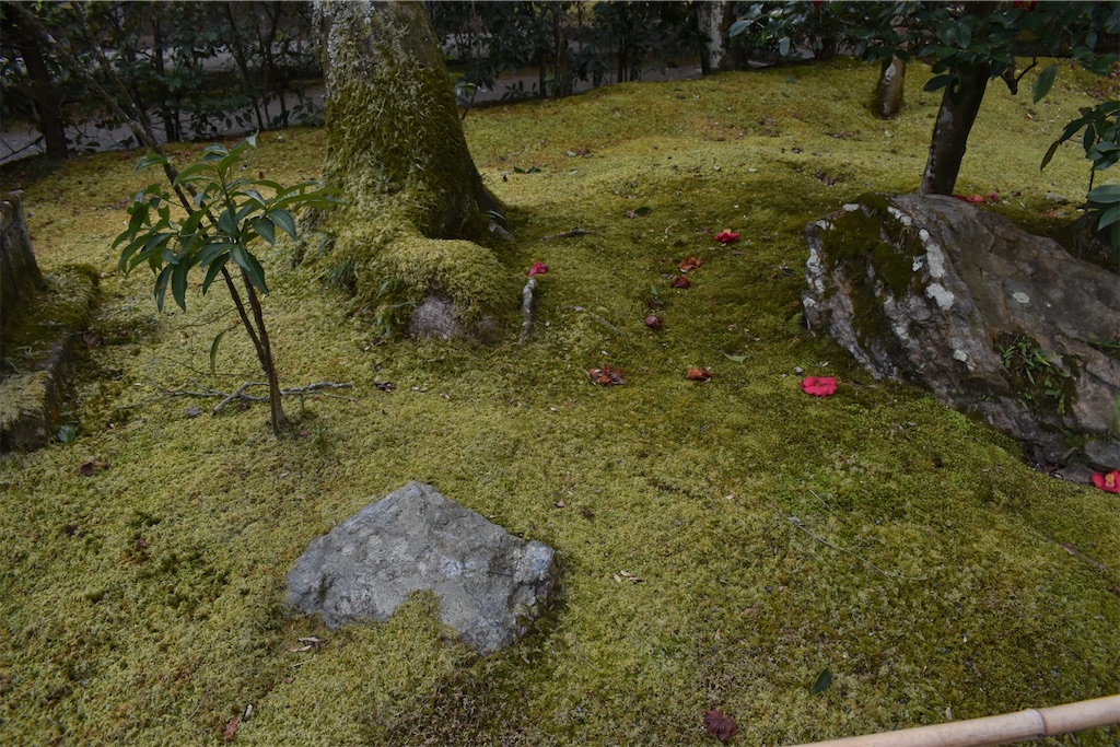 f:id:matsumotoyusuke:20230502223702j:image