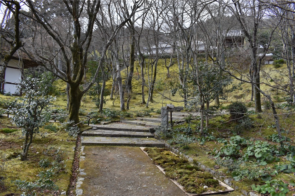 f:id:matsumotoyusuke:20230502223714j:image