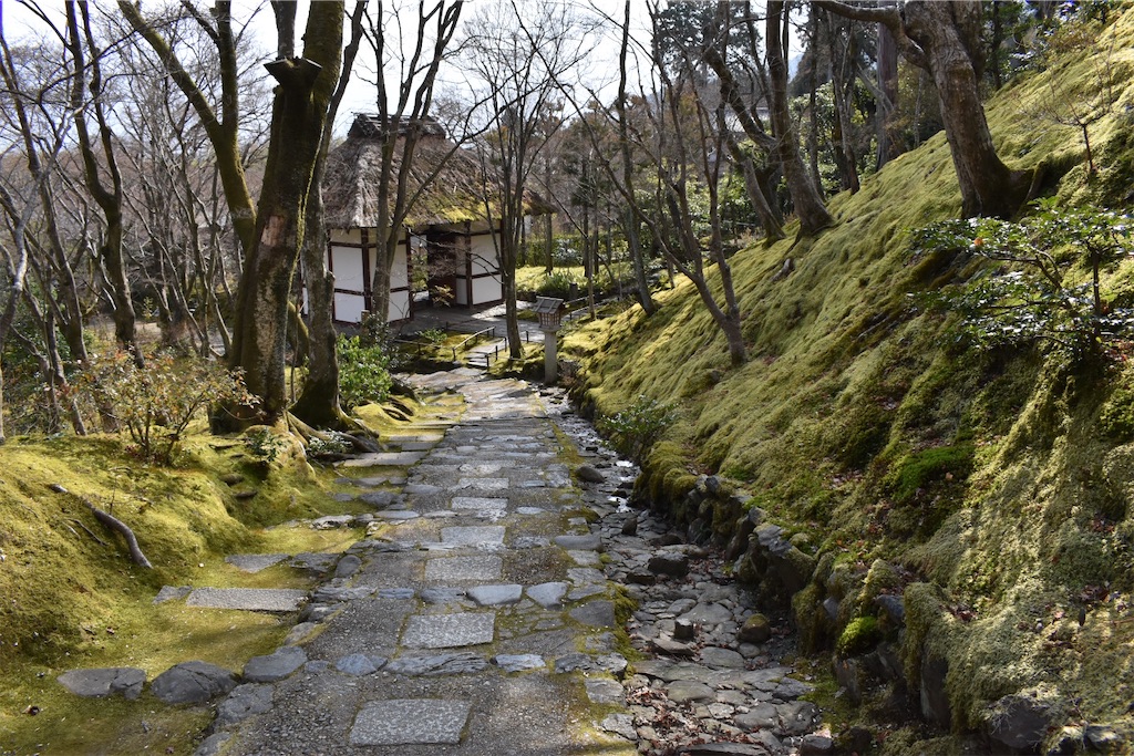 f:id:matsumotoyusuke:20230502223729j:image
