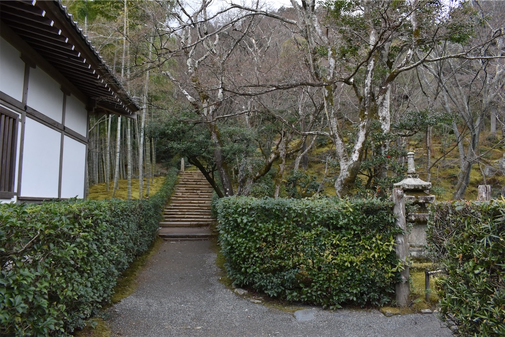 f:id:matsumotoyusuke:20230502223735j:image