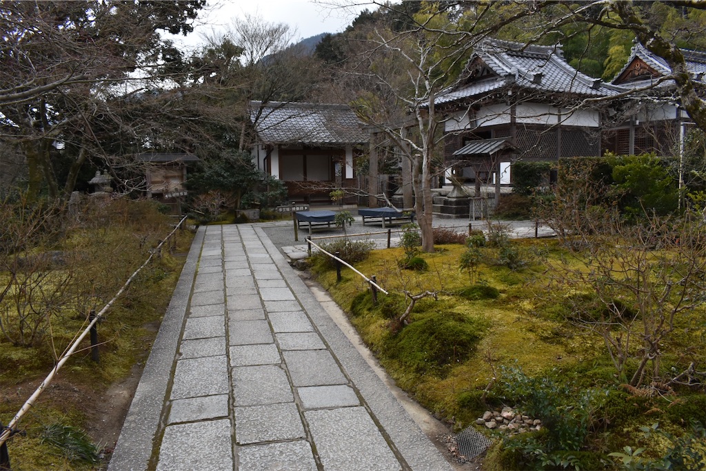f:id:matsumotoyusuke:20230502223738j:image