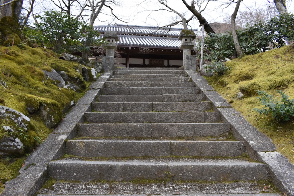f:id:matsumotoyusuke:20230502223819j:image