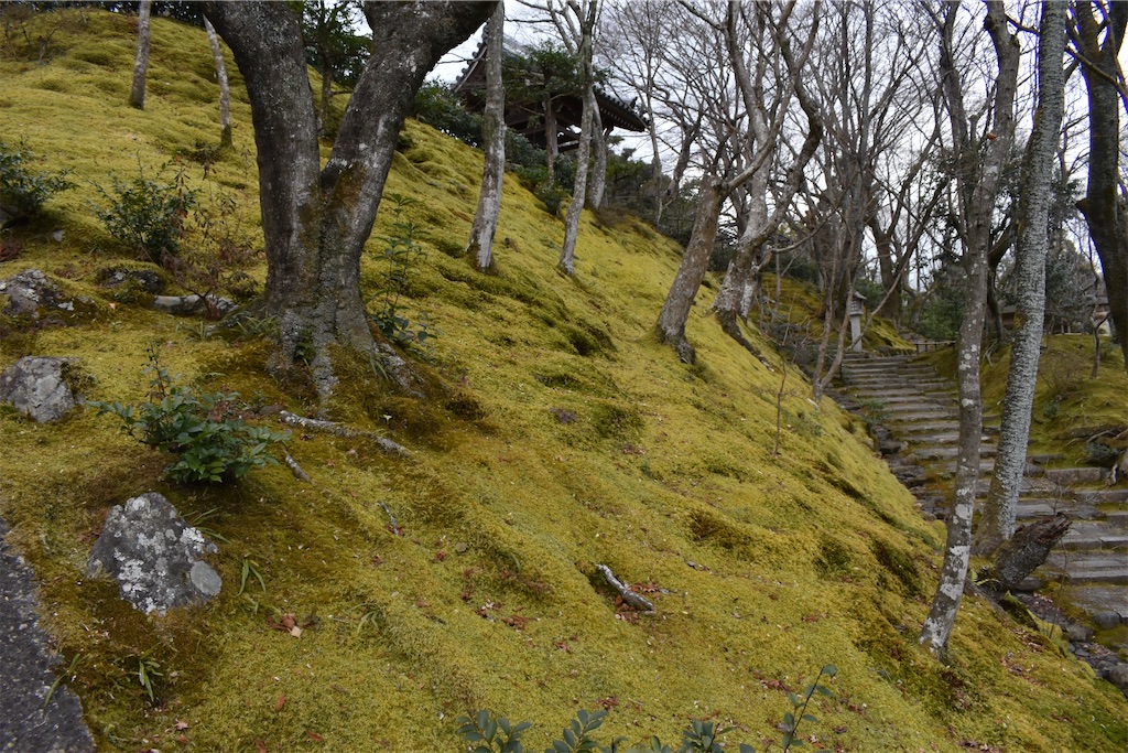 f:id:matsumotoyusuke:20230502223822j:image