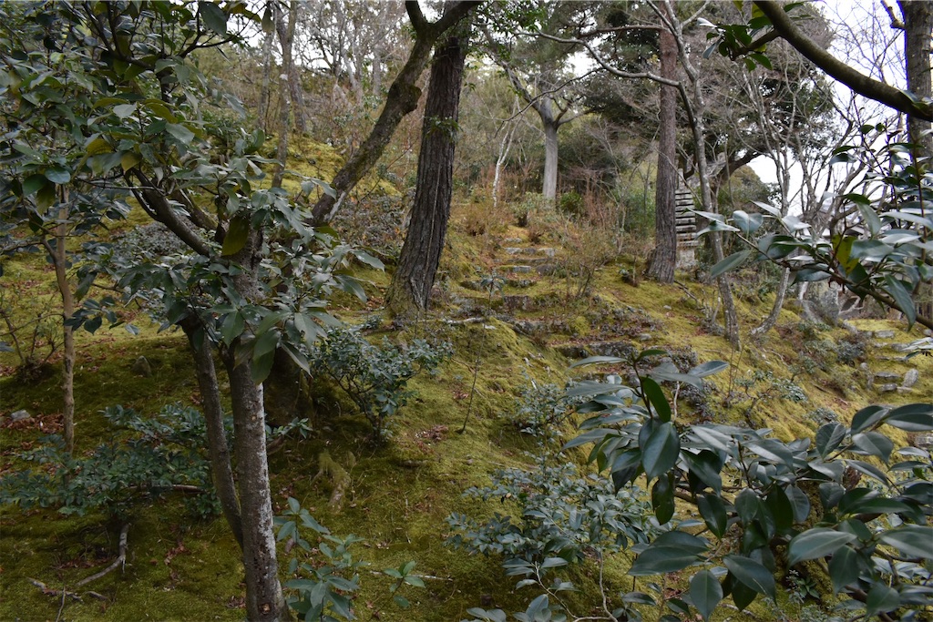 f:id:matsumotoyusuke:20230502223839j:image