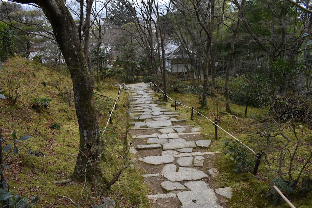 f:id:matsumotoyusuke:20230502223842j:image