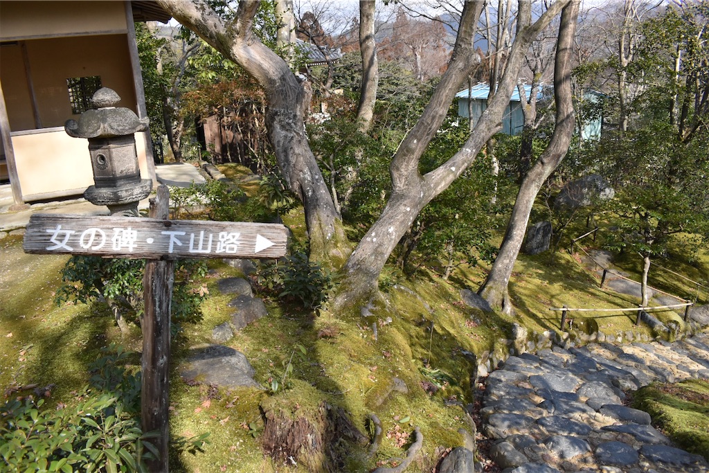 f:id:matsumotoyusuke:20230502223853j:image