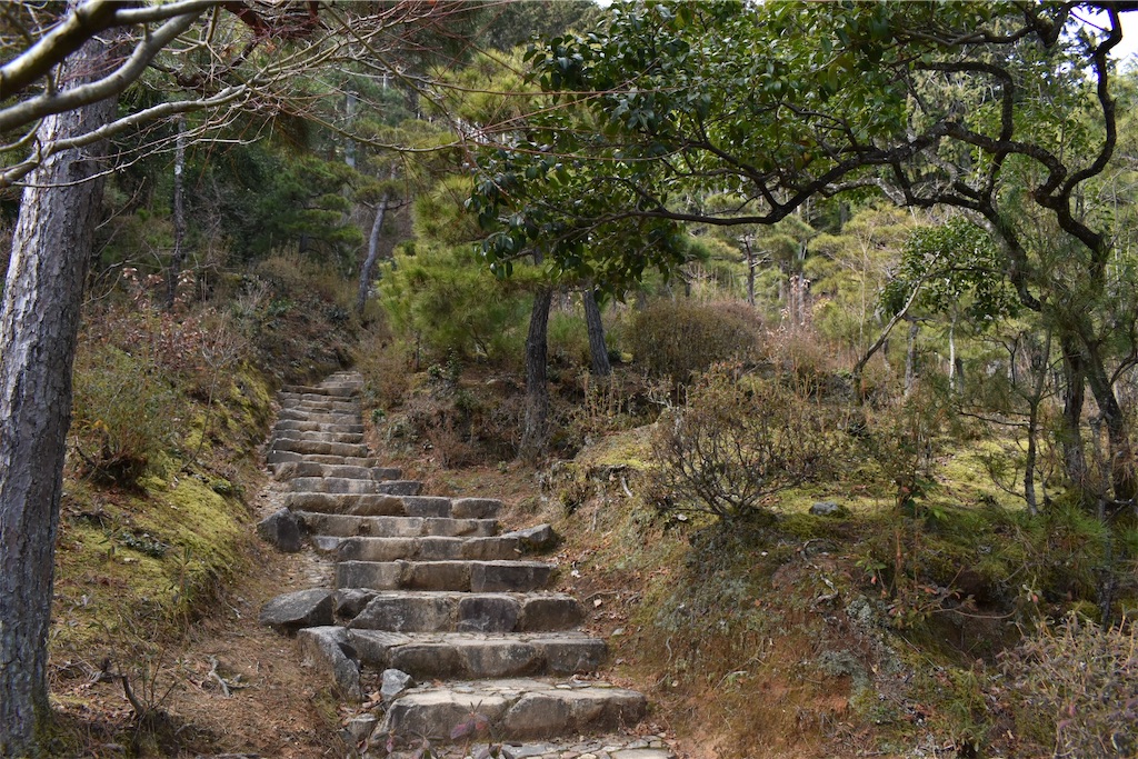 f:id:matsumotoyusuke:20230502224205j:image