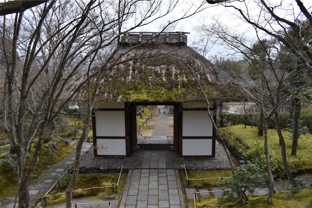 f:id:matsumotoyusuke:20230502224219j:image